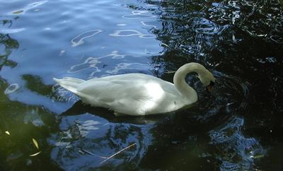 Mmmm that looks yummy