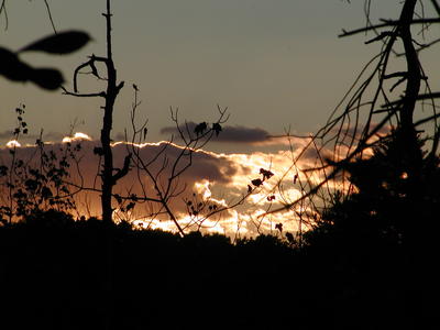 Evening clouds