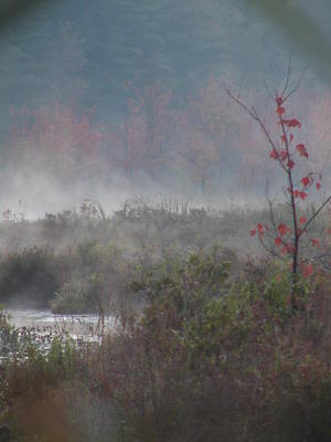 Early morning mist #3