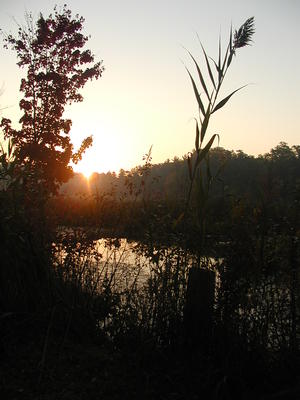 Spectacle Pond at sunrise #3