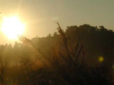 Spectacle Pond at sunrise #6