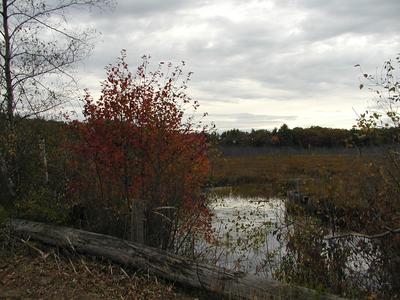 Fall over Bennets Brook #2