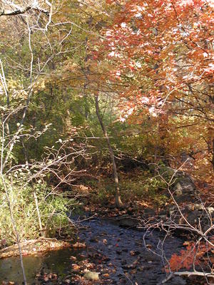 Fall stream