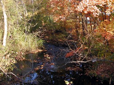 Fall stream #2