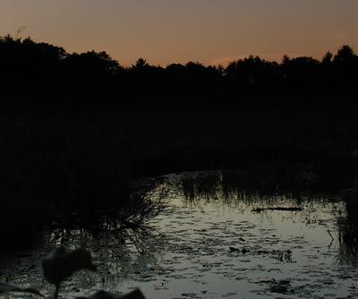 Sunset over Bennetts Brook