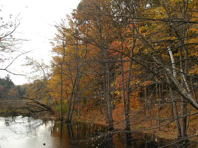 Fall in Littleton #2