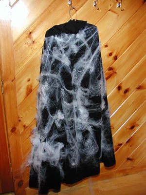 Back of the spider cloak