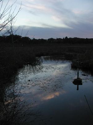 Cloudy reflection #2