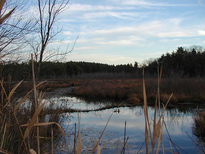 Fall on Spectacle Pond #2
