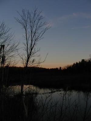 Sunset over Bennetts Brook