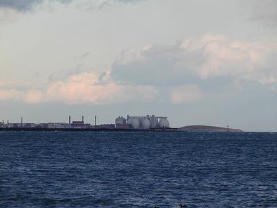 Deer island in the clouds