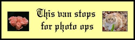 Bumper sticker my daughter created for my Christmas present