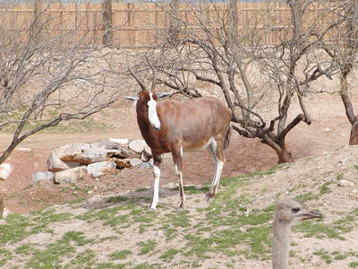 This is my best side