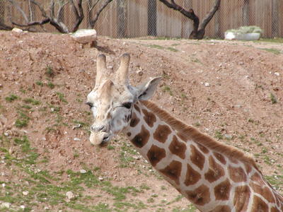 Do I know you?  You look familar.