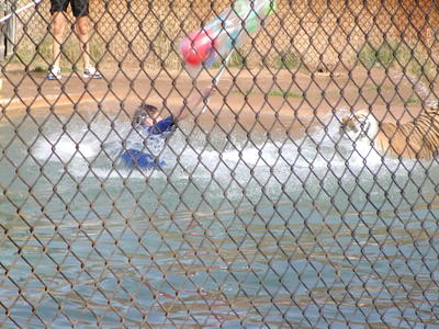 Tiger splash #13