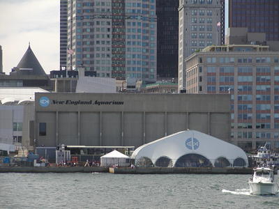 New England Aquarium