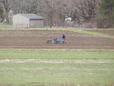 Harvesting rocks
