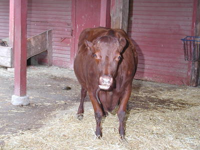 I'd like to meet you