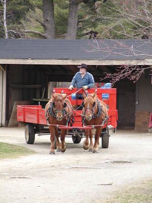 Hayride
