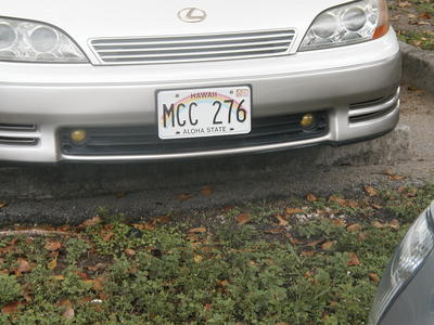 It must have been a long drive to get to Florida