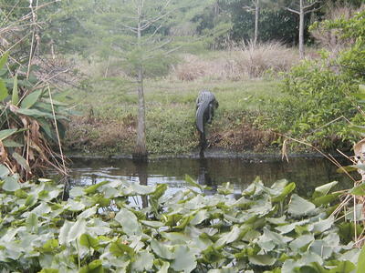 That's it, swim time is over