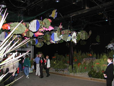 Fish display