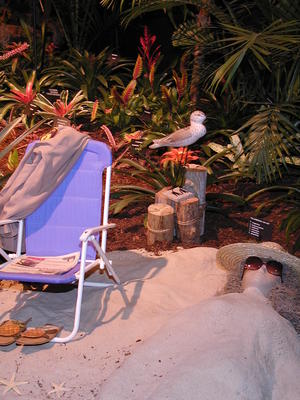 Vacation in paradise