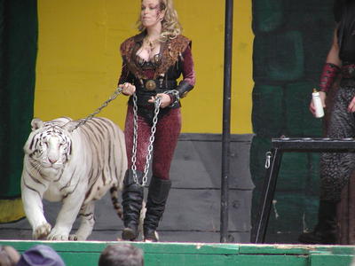 White tiger #3