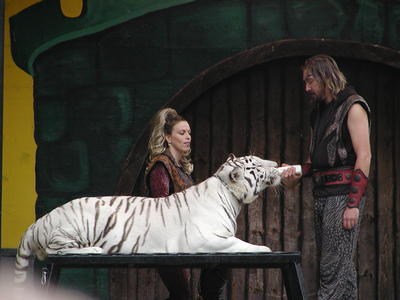 White tigers like milk too