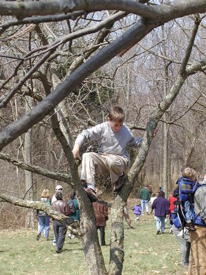 One way to be able to see the action