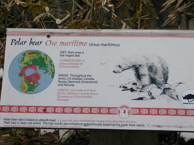Polar bear sign