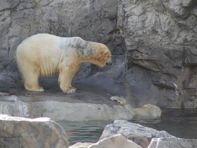 I'm out and you are not