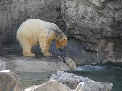 Come on in, the water is nice!