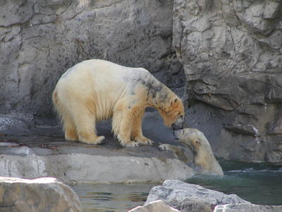 I'll tell you a secret.