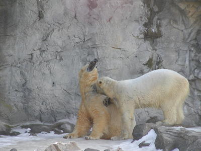 I'll give you a hickey