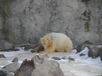 Time out, let me catch my breath