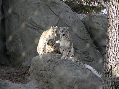 I think the girl in pink over there is kind of cute