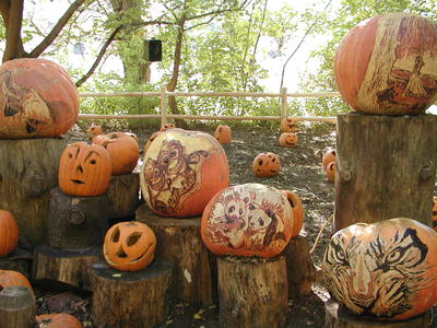 Pumpkins