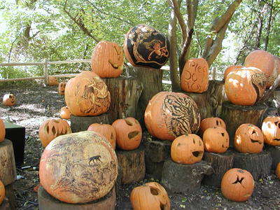 Pumpkins #2