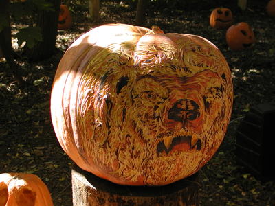 Bear pumpkin