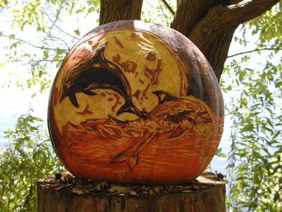 Dolphin pumpkin