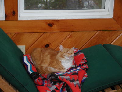 I feel a yawn coming on