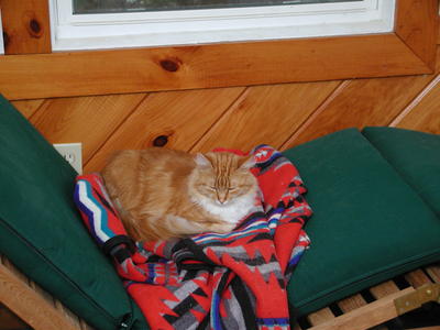 Contemplating the universe