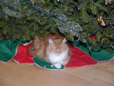 Christmas present #2