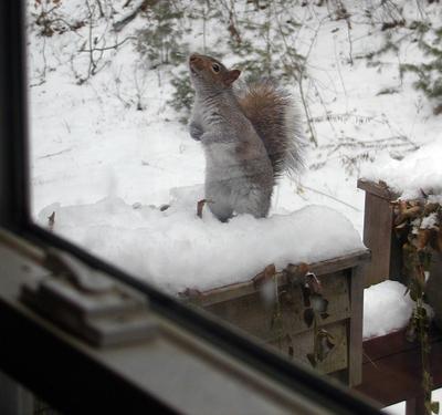 Take my picture, I'll pose for you