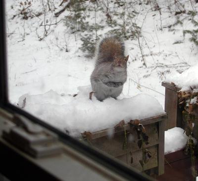 Take my picture, I'll pose for you #2