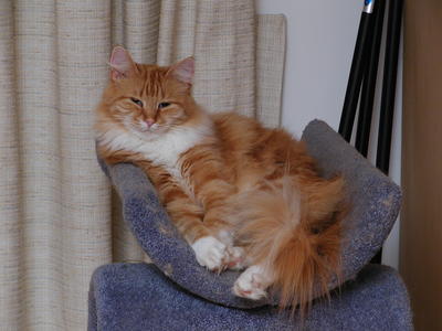 And what do you think you are doing?