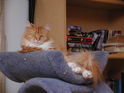 Hey, I'm trying to get some sleep here!