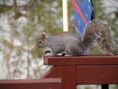 Do you like this pose?