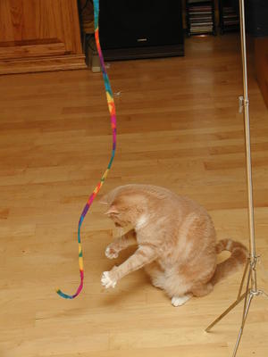 I just about caught it